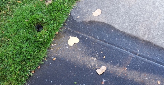 leaking water sprinkler